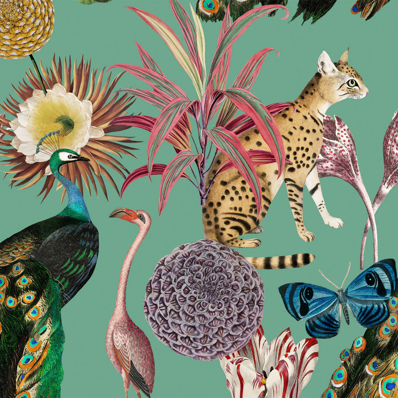 Wallpaper Best Sellers